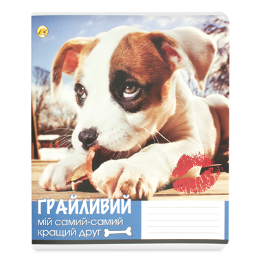 Зошит учнівський 24 арк лін /Тетрада/