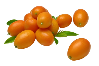 Кумкват ваг.