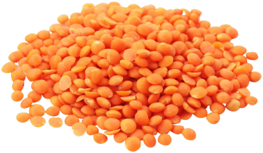 Сочевиця ваг