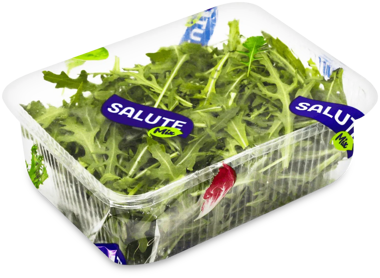 Рукола 75г /Salute mix/